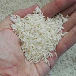 برنج طارم هاشمی(5 کیلویی)