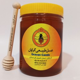 عسل سماق طبیعی 1000 گرمی خالص کردستان