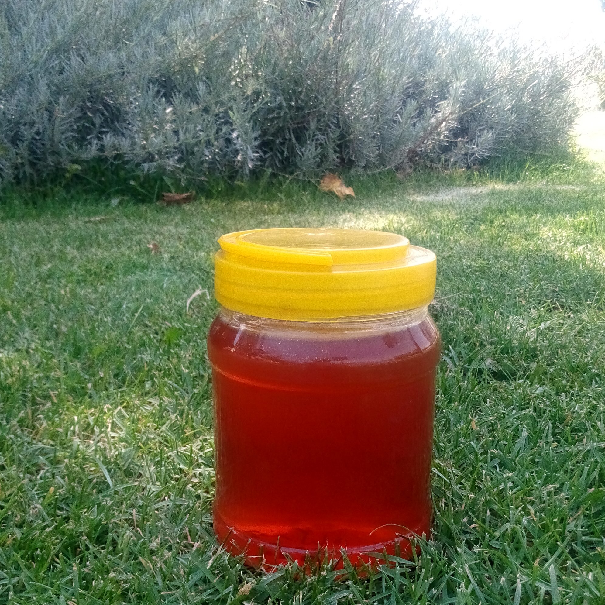 عسل طبیعی چند گیاه 1000گرمی