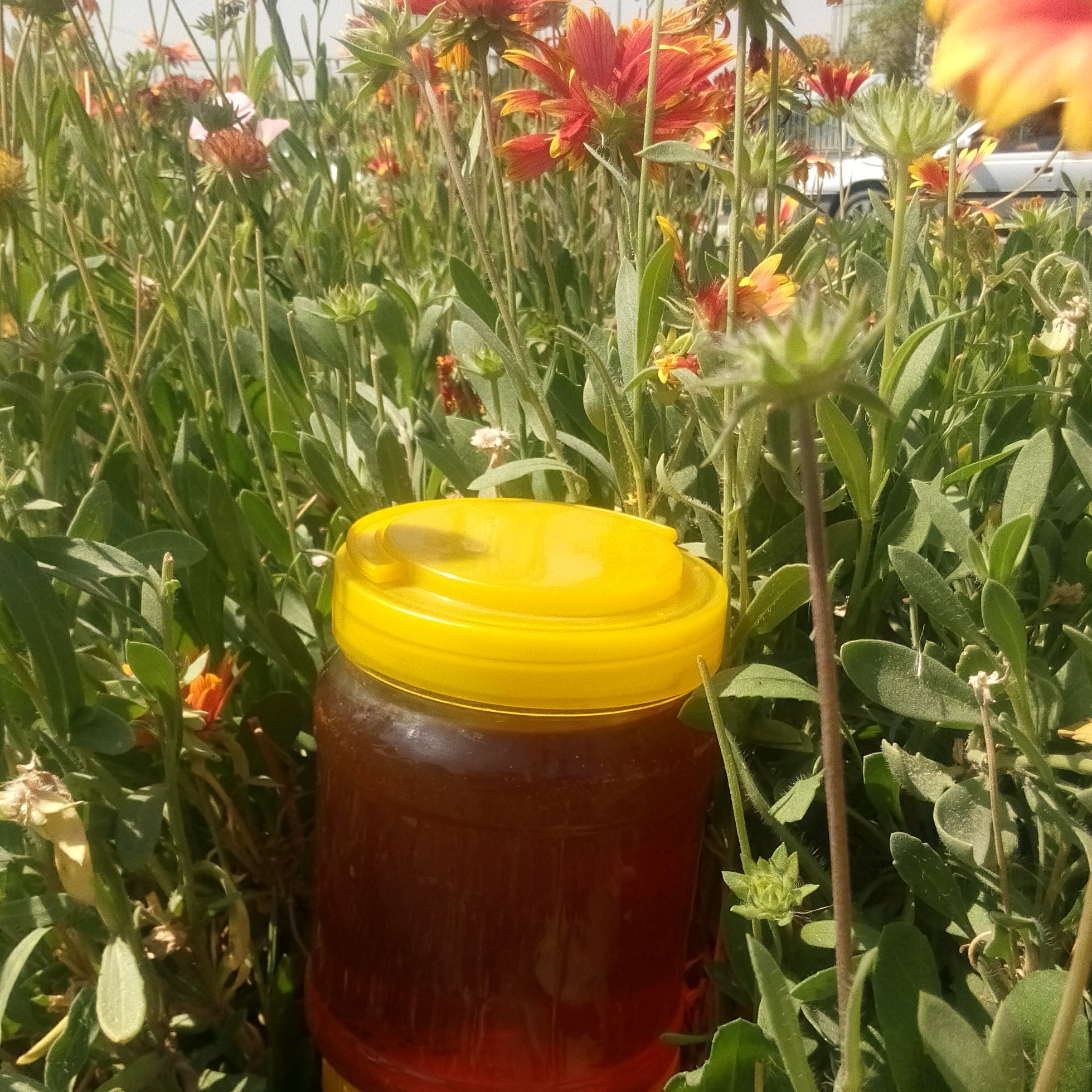 عسل طبیعی چند گیاه 1000گرمی