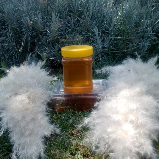 عسل  نیمه طبیعی شهد 500 گرمی