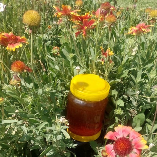 عسل طبیعی چند گیاه 1000گرمی