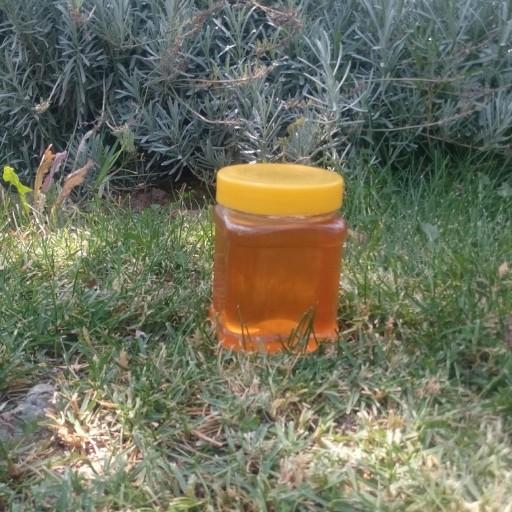 عسل  نیمه طبیعی شهد 500 گرمی