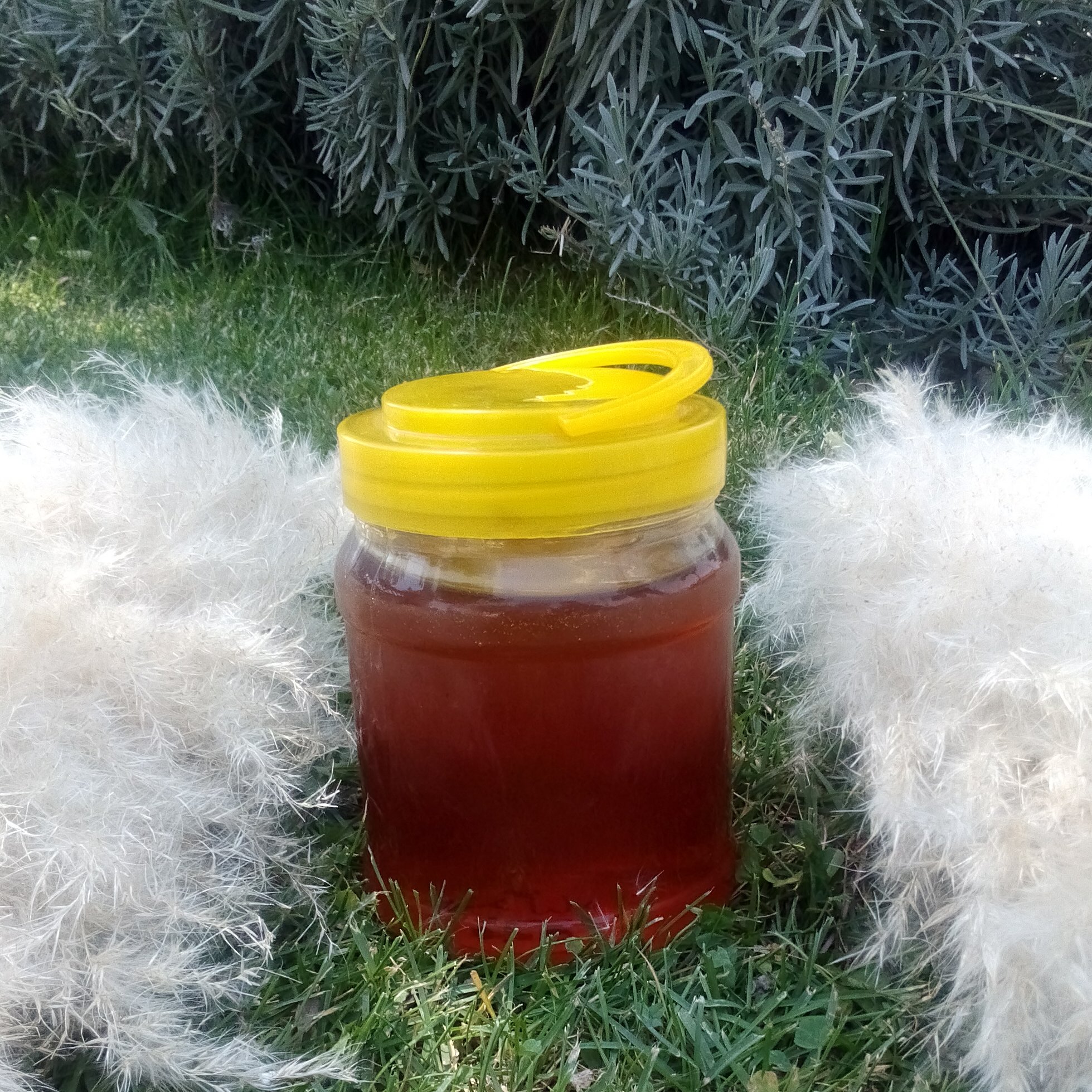 عسل طبیعی چند گیاه 1000گرمی