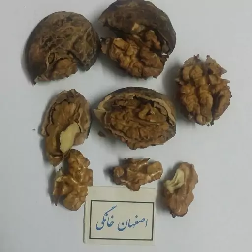 گردو تازه امسالی پوست کنده 1403 درجه 1( تولید کننده ایم یا با کمترین واسطه)