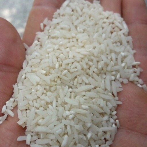 برنج سر لاشه هاشمی بسته 10 کیلویی 