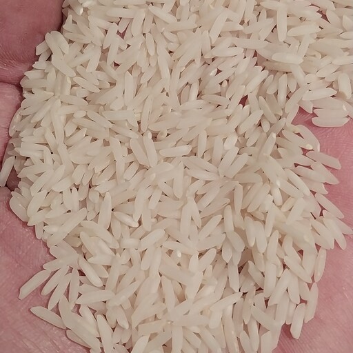 برنج هاشمی اعلاء مجلسی بسته 10 کیلویی 