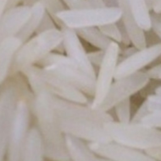 برنج مغان هاشمی