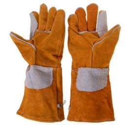 توضیحات تصویر