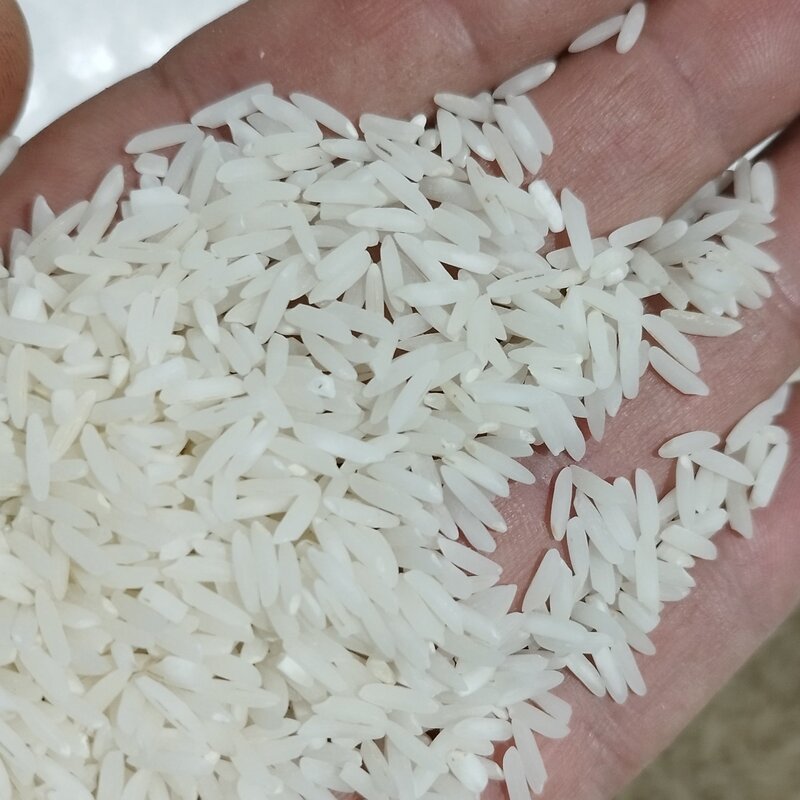 برنج طارم محلی فریدونکنار (طارم سنگی) مستقیم از تولید کننده 10کیلویی بوجار شده