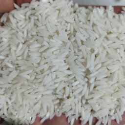 برنج طارم هاشمی فریدونکنارمستقیم از تولید کننده 10کیلویی بوجارشده