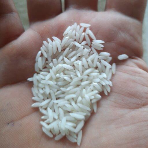 برنج طارم هاشمی درجه 1 در کیسه یک کیلویی(مستقیم از کشاورز)