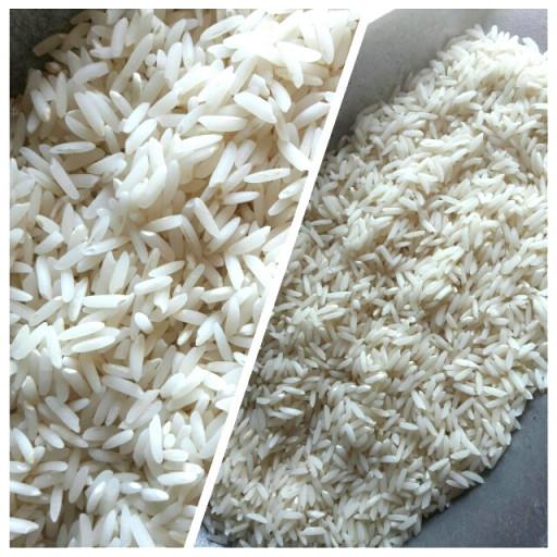 برنج طارم هاشمی سرگل دوبارکشت شمال