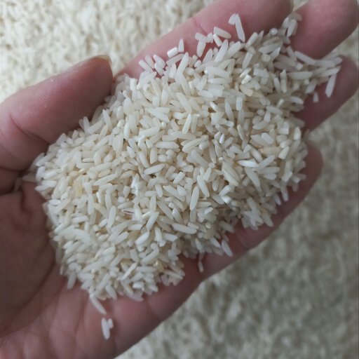 برنج سرلاشه طارم شمال امساله (10 کیلوگرم)