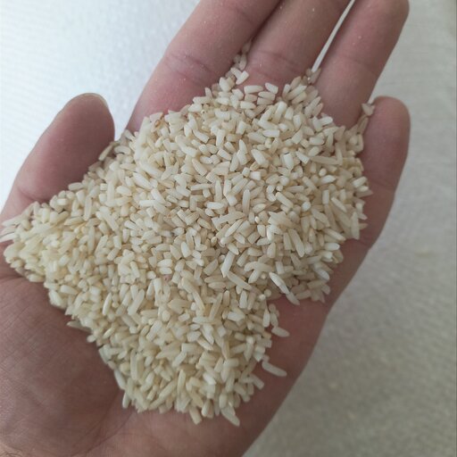 برنج نیم دانه طارم شمال امساله (10 کیلوگرم)