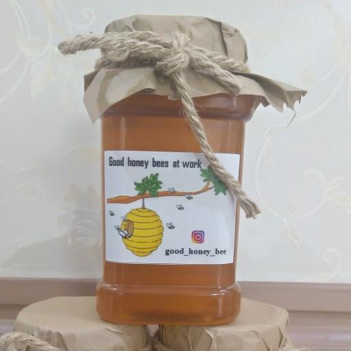 عسل گون 1 کیلوگرمی زنبور خوب
با برگه آزمایش