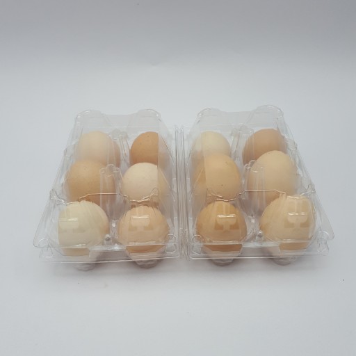 پک 12 عددی تخم مرغ بومی