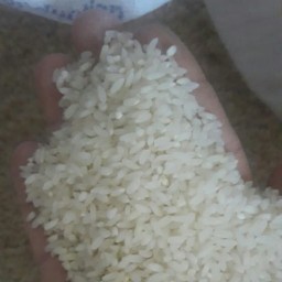 برنج چمپای میداود خوزستان بسته 15 کیلویی