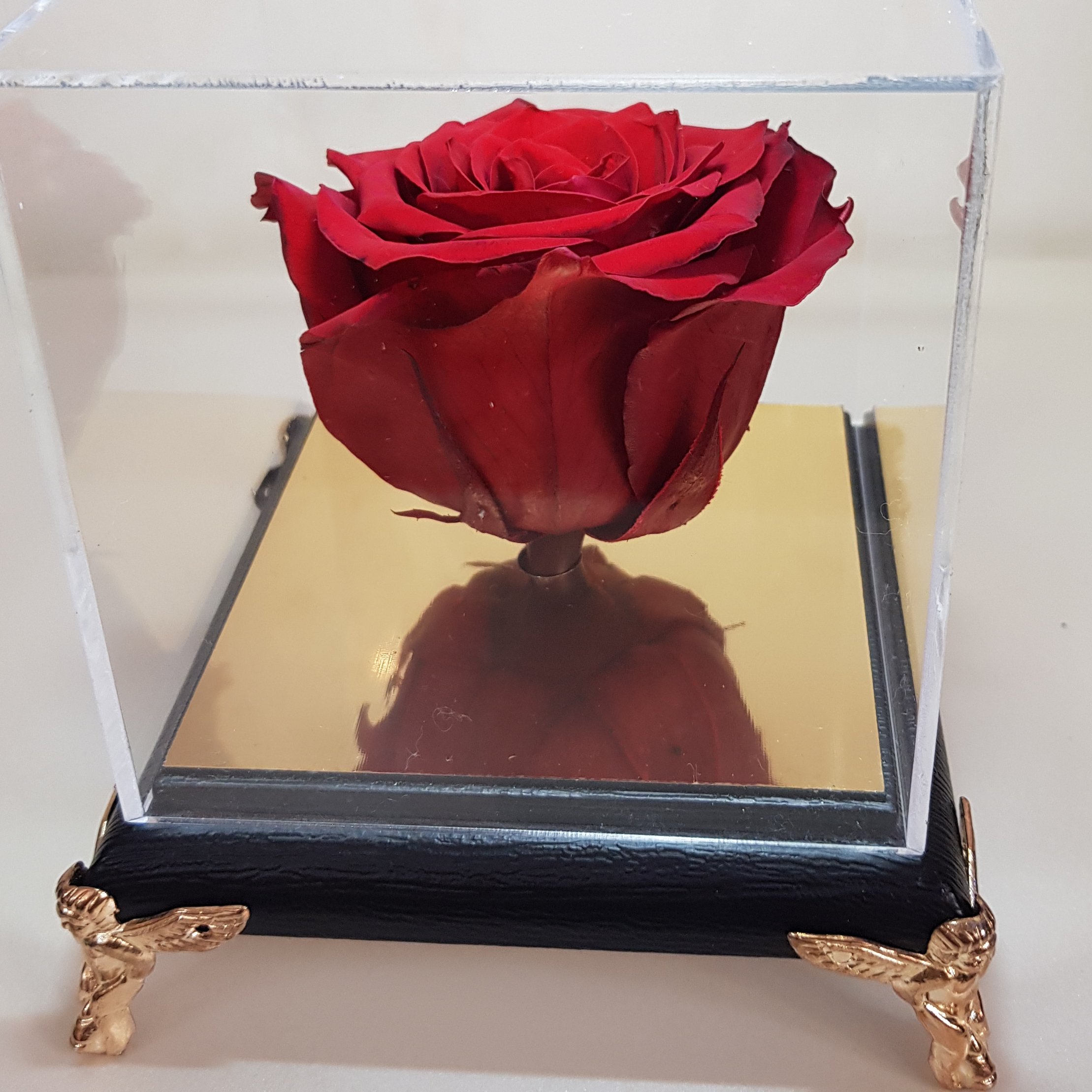 گل رز جاودان قرمز با باکس و کاور (سرخ)