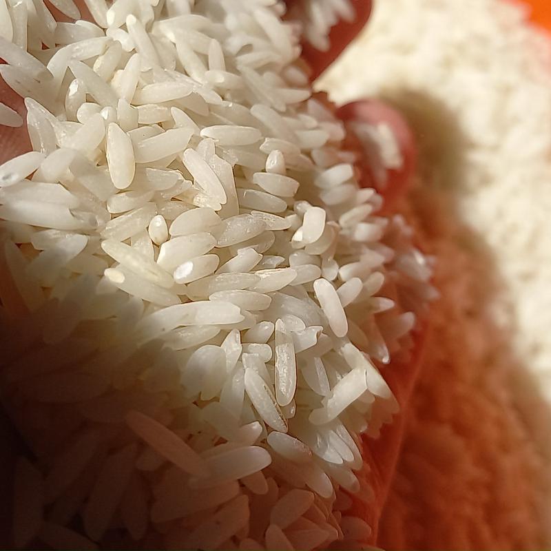 برنج طارم هاشمی معطر ده کیلوگرمی