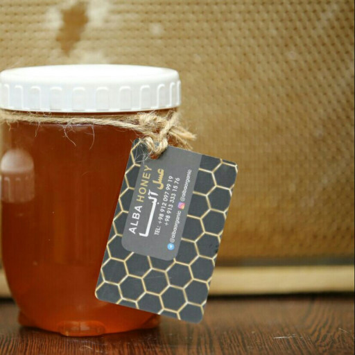 عسل طبیعی گشنیز ۱ کیلو 🍃 آلبا