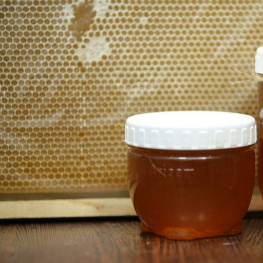 عسل طبیعی گون ۵۰۰ گرم 🍃 آلبا