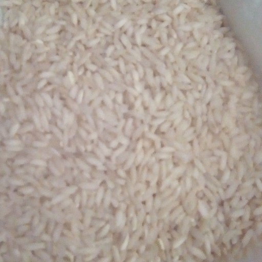برنج عنبربو                        10کیلویی