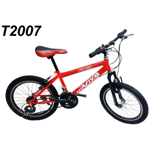 دوچرخه ایرانی سایز 20 کد T2007
