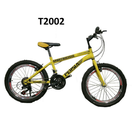 دوچرخه ایرانی سایز 20 کد T2002