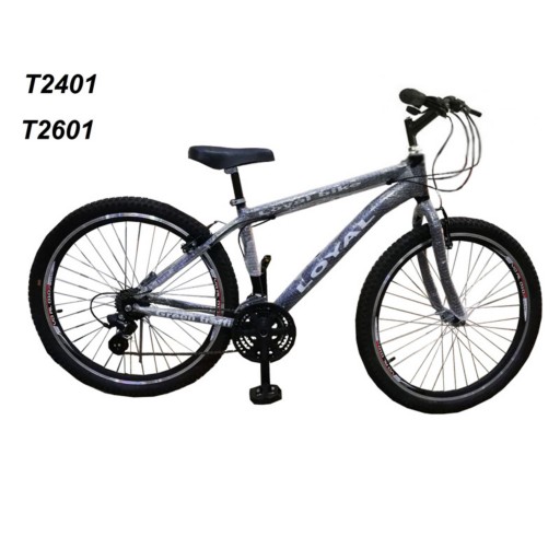 دوچرخه ایرانی سایز 24 کد T2401