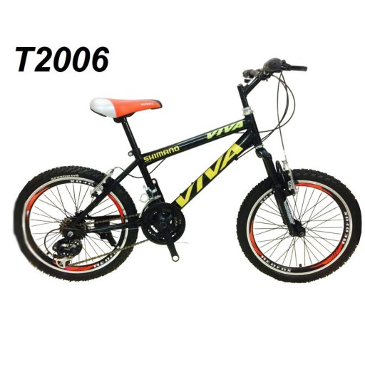 دوچرخه ایرانی سایز 20 کد T2006