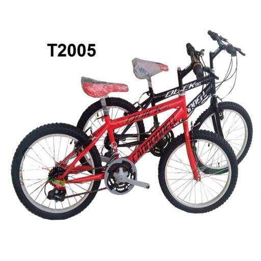 دوچرخه ایرانی سایز 20 کد T2005