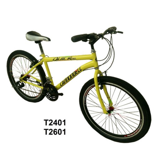 دوچرخه ایرانی سایز 24 کد T2401