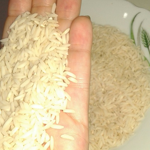 برنج طارم