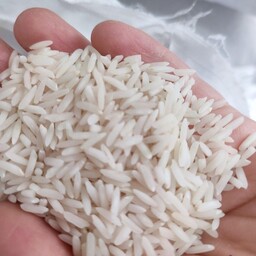 برنج دم سیاه استخوانی معطر  استان اشرفیه ارسال رایگان به سراسر کشور