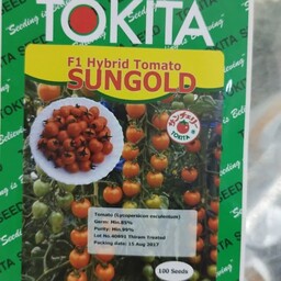 بذر گوجه فرنگی هیبرید سان گلد توکیتا ژاپن مناسب گلخانه

