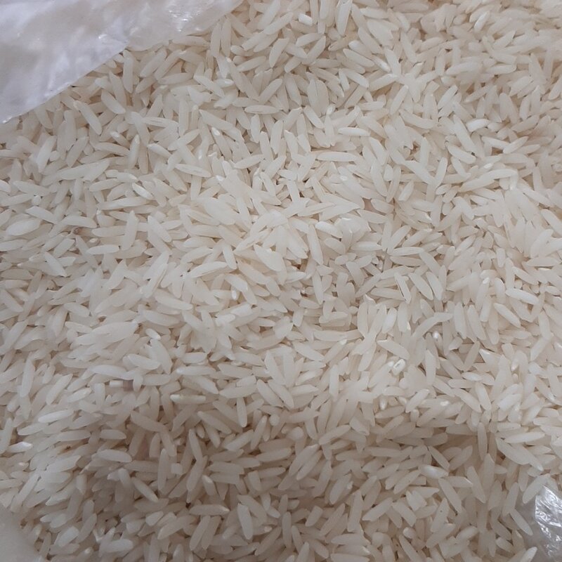 برنج شیرودی گیلان 