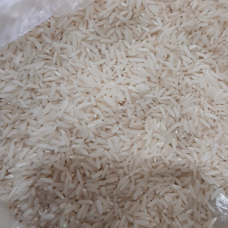 برنج شیرودی درجه یک گیلان