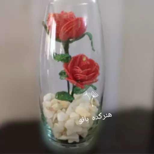 گل  رز منجوقی 