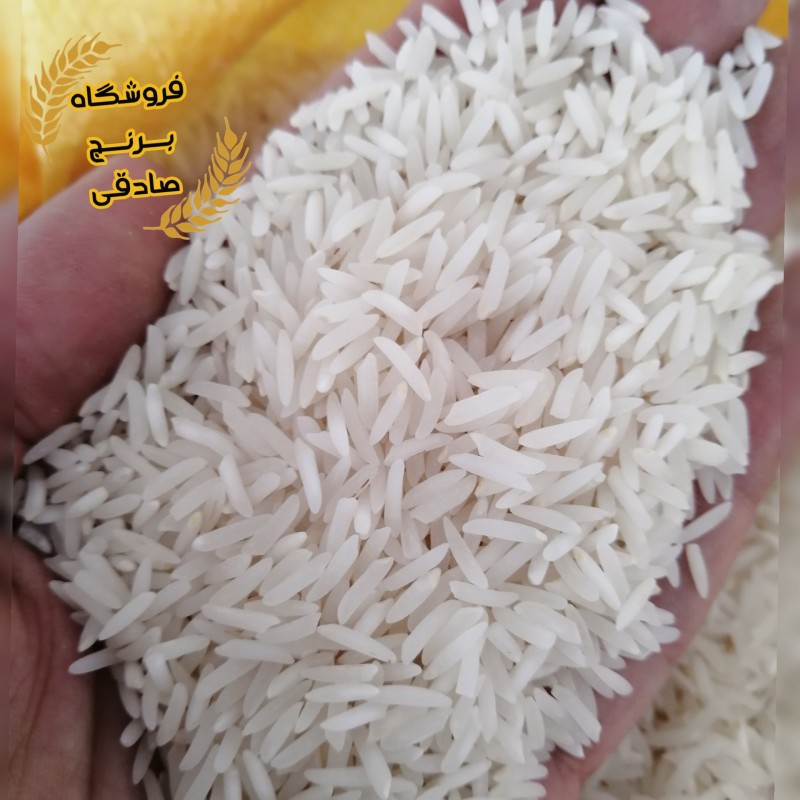 برنج فجر سوزنی اعلاء (ده کیلویی) 