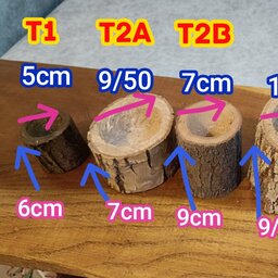 گلدان تنه درختی طبیعی چوبی گرد  t2b