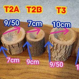 گلدان تنه درختی طبیعی چوبی گرد  t3