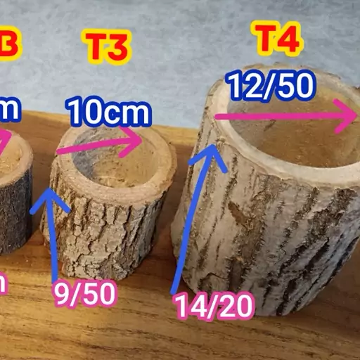 گلدان تنه درختی طبیعی چوبی گرد  t4