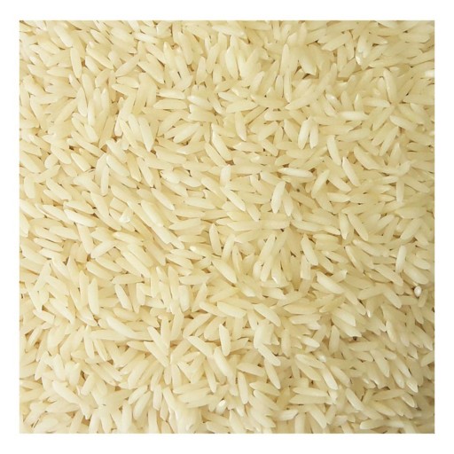 برنج شیرودی درجه یک گیلان (10 کیلوگرم)