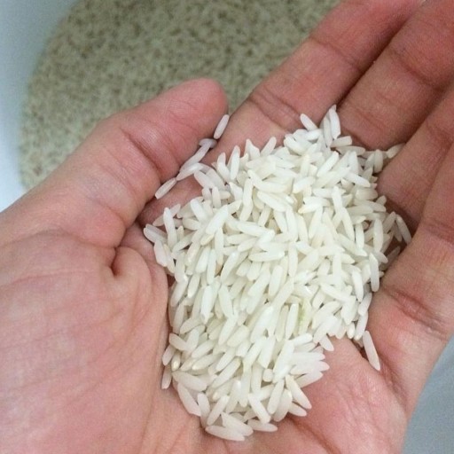 برنج عطری درجه 1 شمال 10 کیلویی
