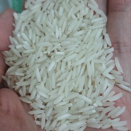 برنج هاشمی دانه بلند آستانه اشرفیه بسته 10 کیلویی