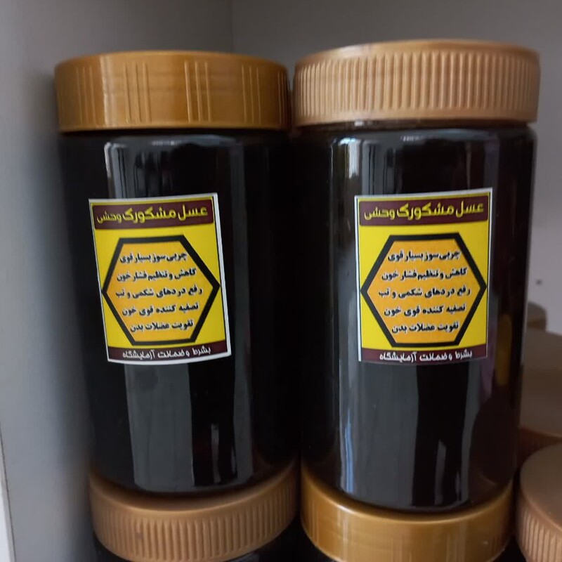 عسل طبیعی مشکورک وحشی( 1 کیلویی)