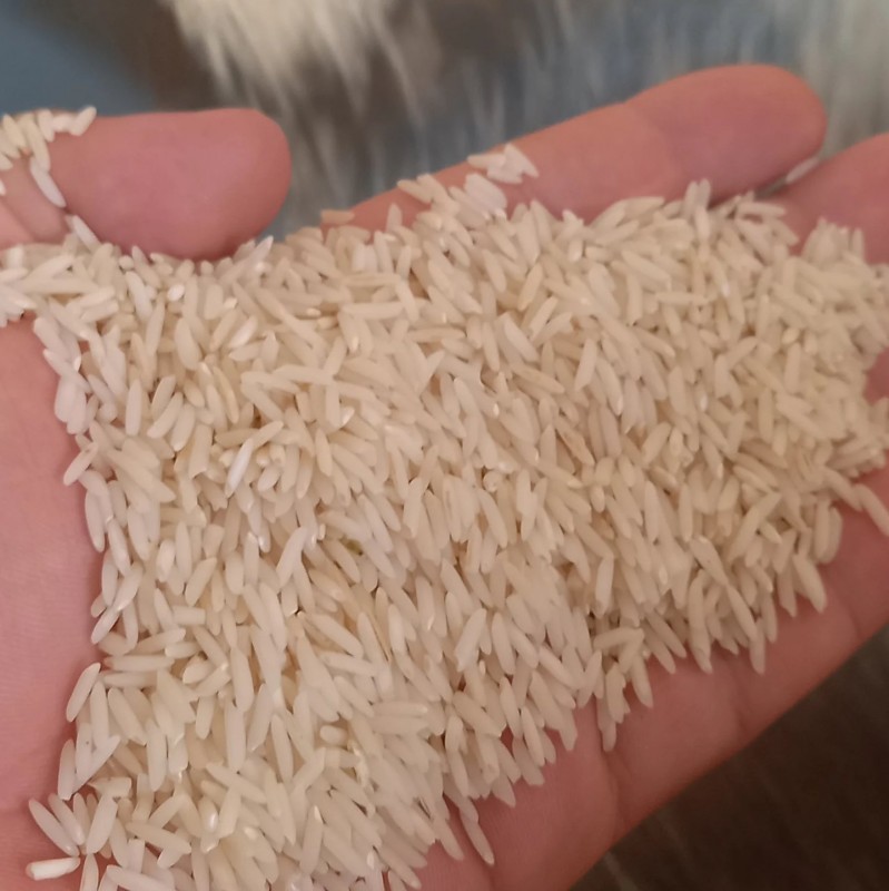 برنج هاشمی اصیل خوش عطر و پخت تضمینی