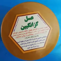 عسل گزانگبین خالص کیلویی