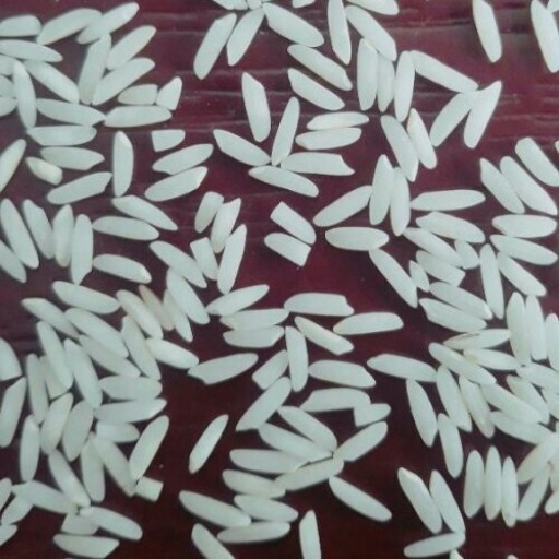 برنج طارم هاشمی (10 کیلویی)